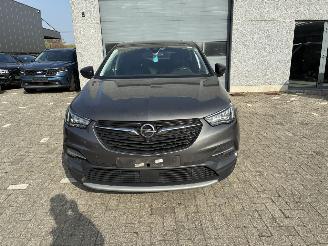 Opel Grandland OPEL GRANDLAND X 1.6D 2021 picture 3