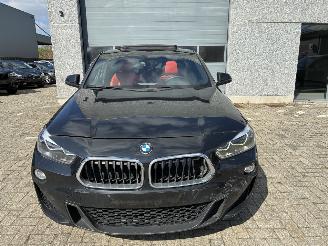 BMW X2 BMW X2 xDrive20d M 2019 picture 4