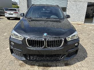 BMW X1 BMW X1 xDrive20d 2019 M picture 5