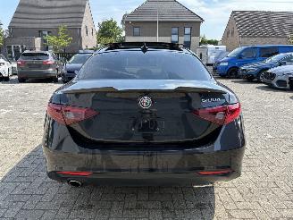 Alfa Romeo Giulia ALFA ROMEO GIULIA 2.2D 2021 picture 12