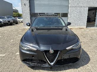 Alfa Romeo Giulia ALFA ROMEO GIULIA 2.2D 2021 picture 4