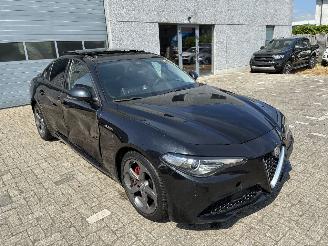 Alfa Romeo Giulia ALFA ROMEO GIULIA 2.2D 2021 picture 5
