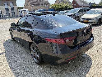 Alfa Romeo Giulia ALFA ROMEO GIULIA 2.2D 2021 picture 13