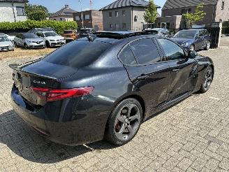 Alfa Romeo Giulia ALFA ROMEO GIULIA 2.2D 2021 picture 8
