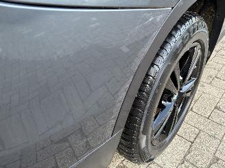 BMW X1 BMW X1 xDrive25e 2021 picture 14
