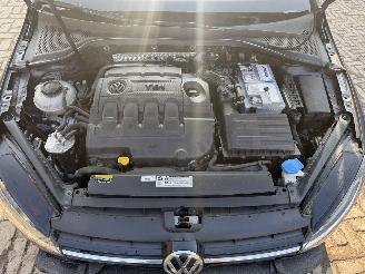 Volkswagen Golf 1.6 TDI picture 13