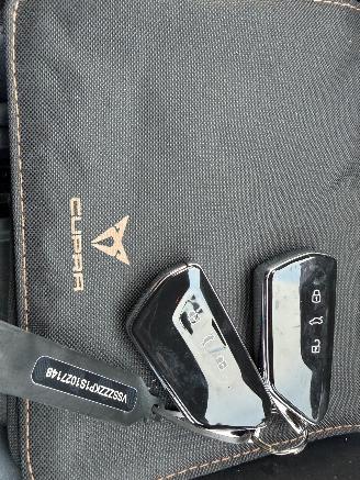 Cupra Terramar VZ 1.5 eTSI 110kw picture 28