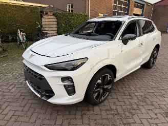 Cupra Terramar VZ 1.5 eTSI 110kw picture 19