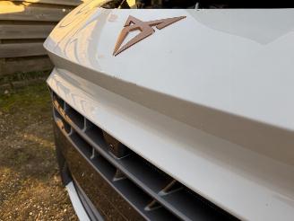 Cupra Terramar VZ 1.5 eTSI 110kw picture 15