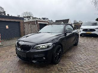  BMW 2-serie 218i M PAKKET CABRIO 2018/1