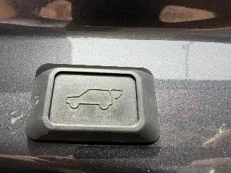 Toyota Rav-4 2.5 Hybrid AWD Executive picture 11