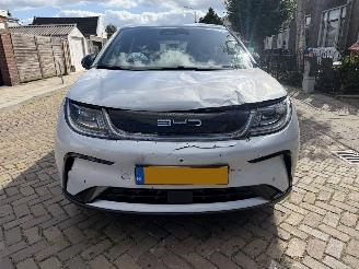 BYD Dolphin Comfort 60.4 kWh NAP picture 4