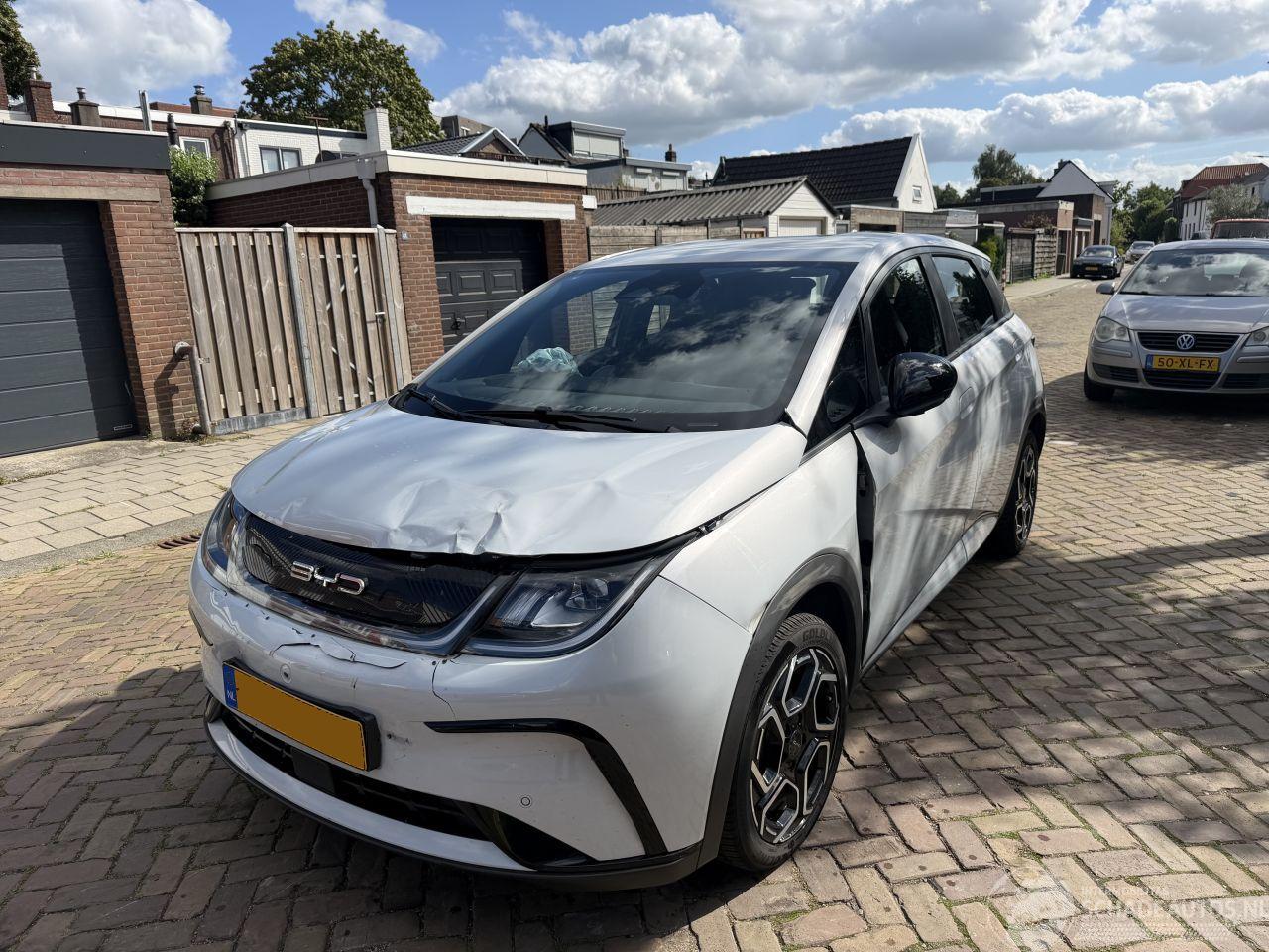 BYD Dolphin Comfort 60.4 kWh NAP