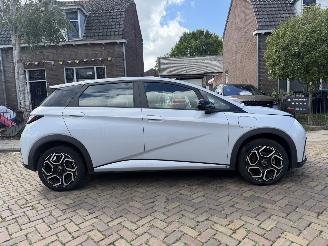 BYD Dolphin Comfort 60.4 kWh NAP picture 8