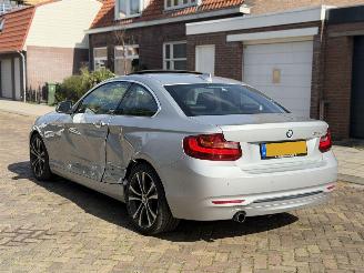 BMW 2-serie 220i Coupe Automaat picture 14