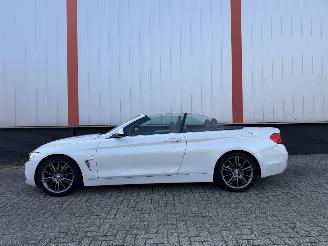 BMW 4-serie 420d Cabrio High Executive picture 27