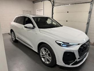 Unfallwagen Audi Q5 LUFTFEDERUNG SOUND BANG&OLUFSEN 2026/6