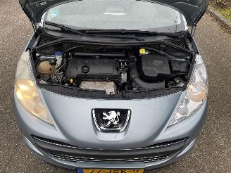 Peugeot 207 1.6 5drs picture 14