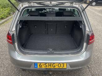 Volkswagen Golf 1.6 tdi 81kw picture 11