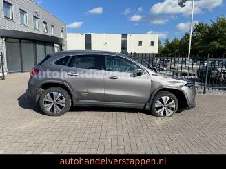 Mercedes EQA 300 4Matic Luxery line picture 8