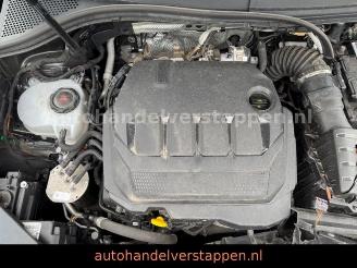 Volkswagen Tiguan 2.0TDI Life R-Cam DAB+ LED picture 11