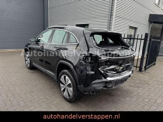 Mercedes EQA 300 4Matic 168KW CAM NAVI+ LED picture 5