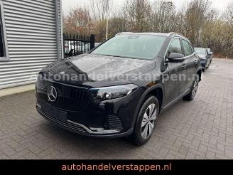 Mercedes EQA 300 4Matic 168KW CAM NAVI+ LED picture 9