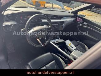 Audi E-tron 55 Quattro S line Sport Panorama FULL CAM picture 21