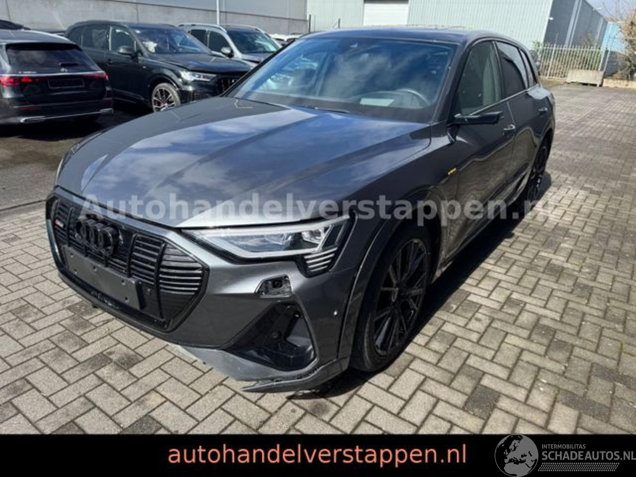 Audi E-tron 55 Quattro S line Sport Panorama FULL CAM