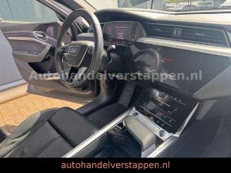 Audi E-tron 55 Quattro S line Sport Panorama FULL CAM picture 33