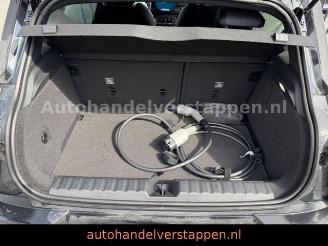 Mini Aceman SE 49.2KWH 218PS PANO HARMAN picture 16