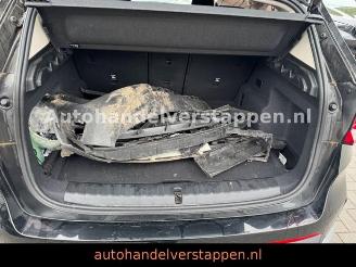 BMW iX1 20eDrive 150KW Harman LED Premium-Paket picture 11