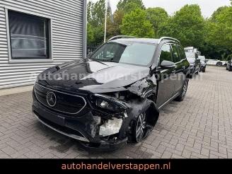 Mercedes EQB 250 Luxery Line 67KW 140KW 7-Sitzer picture 14