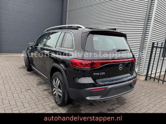 Mercedes EQB 250 Luxery Line 67KW 140KW 7-Sitzer picture 4