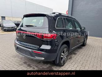 Mercedes EQB 250 Luxery Line 67KW 140KW 7-Sitzer picture 3