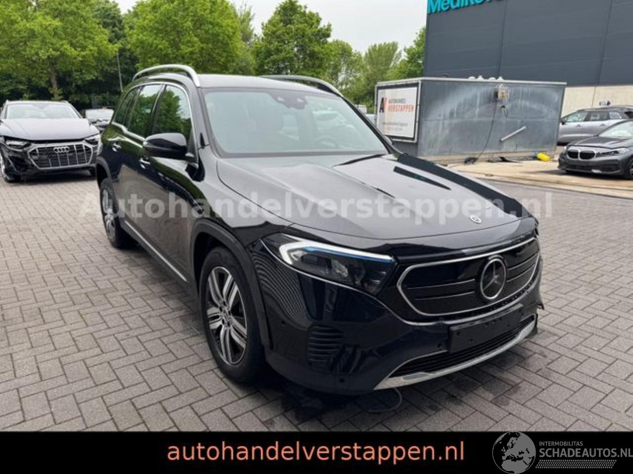 Mercedes EQB 250 Luxery Line 67KW 140KW 7-Sitzer