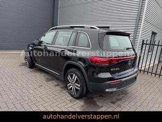 Mercedes EQB 250 Luxery Line 67KW 140KW 7-Sitzer picture 5