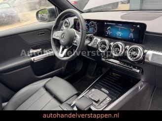 Mercedes EQB 250 Luxery Line 67KW 140KW 7-Sitzer picture 29