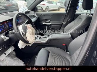 Mercedes EQB 250+ Business Line  71KWH 7Pers Facelift picture 19
