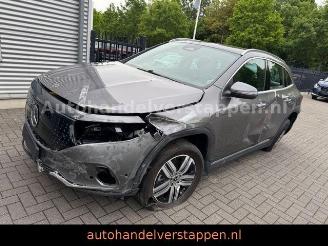 Mercedes EQA 250+ 71KWH LUXURY LINE Pano Burm Facelift picture 6