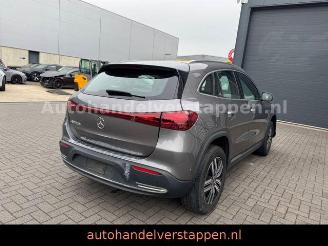 Mercedes EQA 250+ 71KWH LUXURY LINE Pano Burm Facelift picture 1