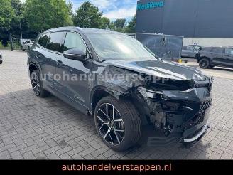 Volkswagen Tayron 1.5 eTSI 110KW DSG R-Line Sport picture 5