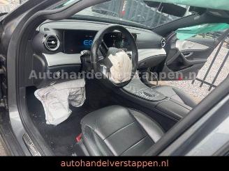 Mercedes E-klasse 300 d 4Matic AMG Sport Pano Burm AHK picture 23