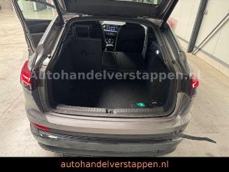 Audi Q4 e-tron 35 Sportback S-Line Sport 125KW 20zoll picture 13