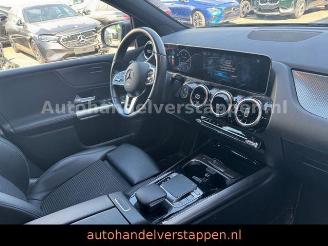 Mercedes B-klasse  picture 19