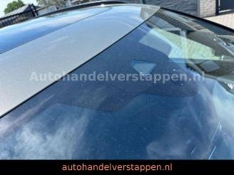 Audi Q3 35 TFSI S-Tronic S line Panorama picture 10