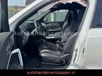 BMW X1 xDrive30e M Sport HUD Pano Harman VOLL picture 19