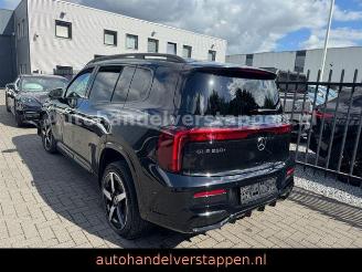 Mercedes GLB 250+ EQ 4Matic 200KW AMG Sport picture 2