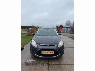 Ford Grand C-Max Grand C-Max (DXA), MPV, 2010 / 2019 1.0 Ti-VCT EcoBoost 12V 125 picture 1