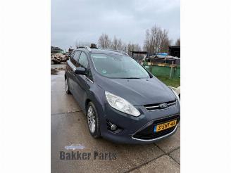 Ford Grand C-Max Grand C-Max (DXA), MPV, 2010 / 2019 1.0 Ti-VCT EcoBoost 12V 125 picture 2